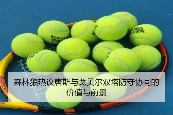 森林狼热议唐斯与戈贝尔双塔防守协同的价值与前景