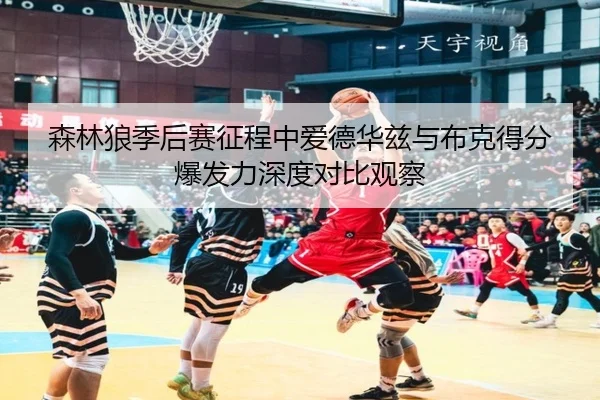 森林狼季后赛征程中爱德华兹与布克得分爆发力深度对比观察